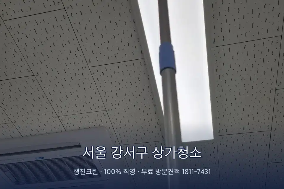 서울 강서구 상가청소 매장 천장 조명 먼지 제거