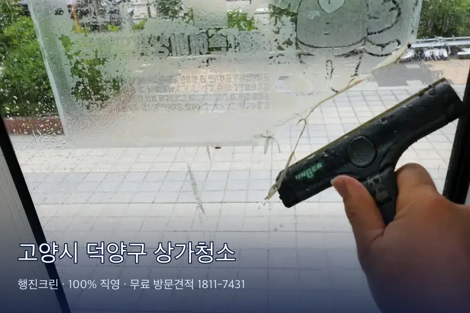 고양시 덕양구 상가청소 매장 천장 조명 먼지 제거